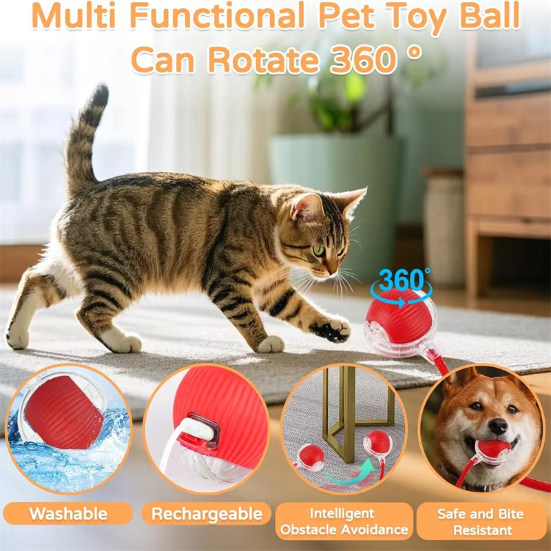 New Cat Interactive Ball Toy A – Power Tools Cat recenzja i cena