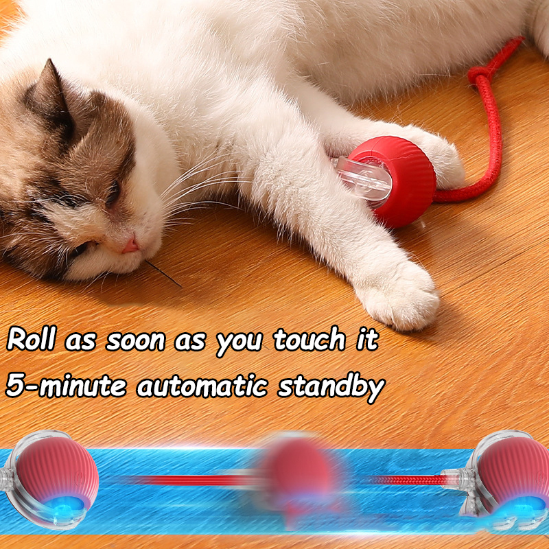 New Cat Interactive Ball Toy A – Power Tools Cat recenzja i cena