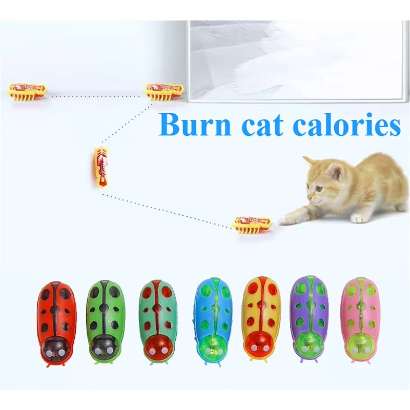 Pet Toys Electric Lifelike Mic – Power Tools Cat recenzja i cena